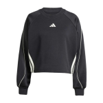 Felpe maglie Adidas  GIROCOLLO STADIUM TT DONNA JL6996 color nero