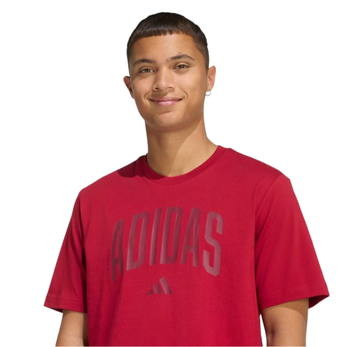 Adidas men's T-shirt Collegiate Lineage Graphic KH4593