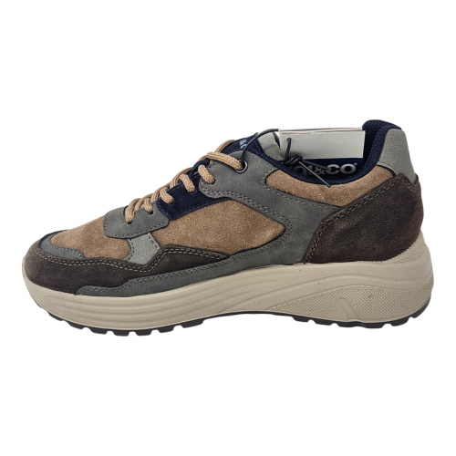 Scapre sneakers IGI&CO uomo 2139811