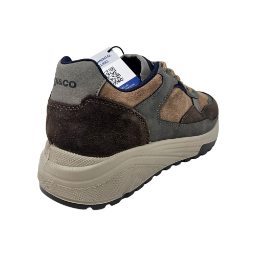 Scapre sneakers IGI&CO uomo 2139811
