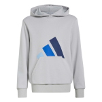 Felpe maglie Adidas KT3378 J BL FT HD 280 unisex