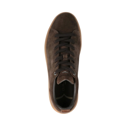 Scarpe polacchino GUARDIANI LAURO MID GM62062A108